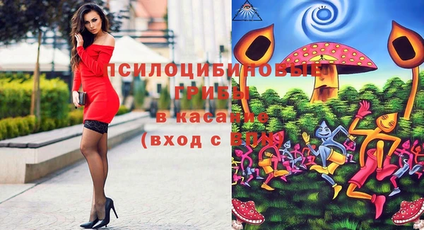 круглые Алзамай