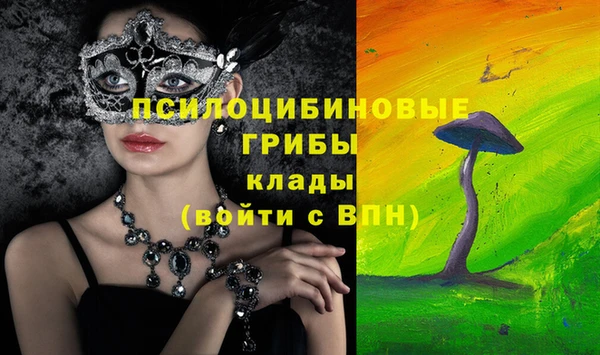 круглые Алзамай