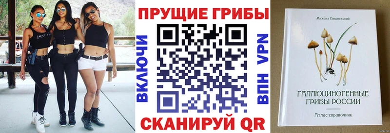 кракен tor  закладки  Покров  Галлюциногенные грибы ЛСД 